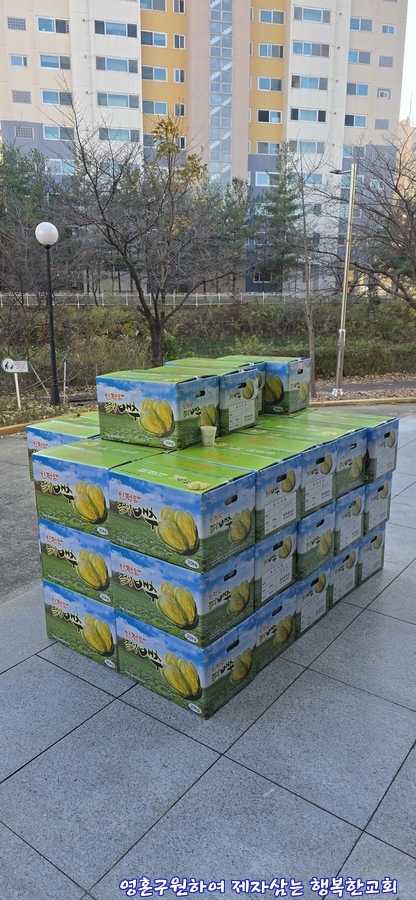 KakaoTalk_20241123_110508190_01.jpg